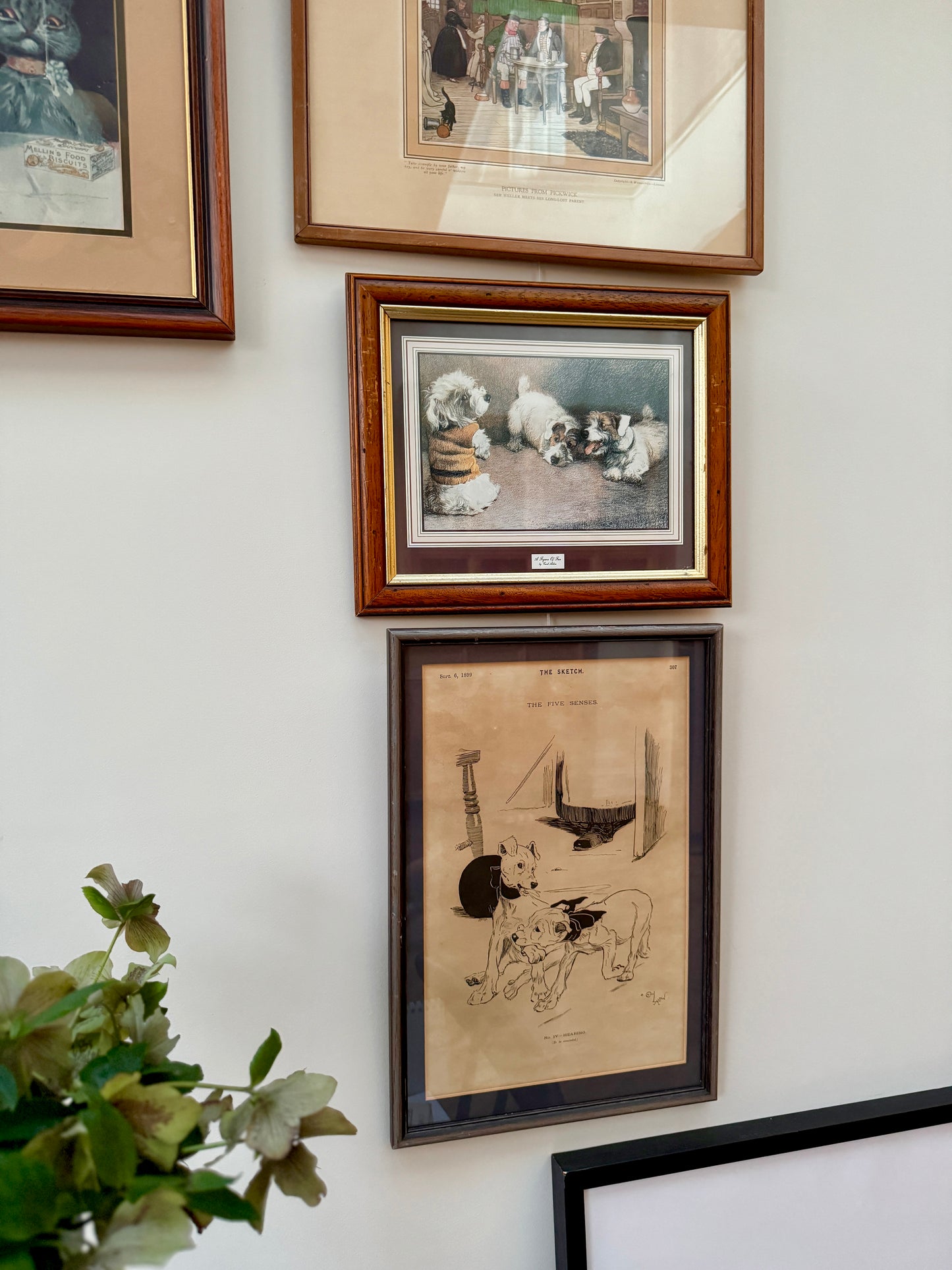 ビクトリア朝時代のセシル・アルダン(1870-1935)の額入りイラスト: 週刊誌スケッチより「五感」