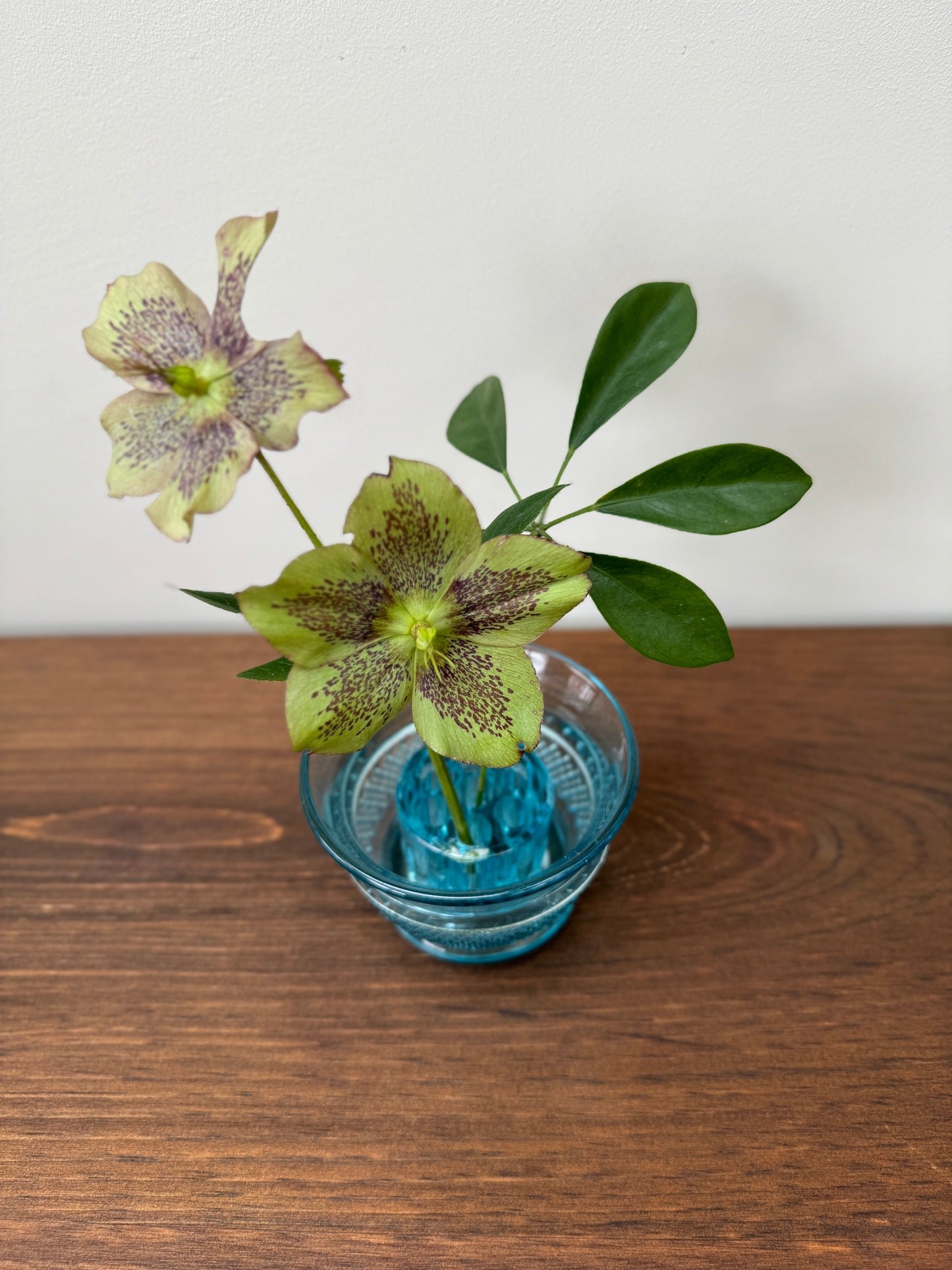 デヴィッドソン社製ヴィンテージ・プレスドガラスの花器|花留め付き(ブルー) 1906年デザイン