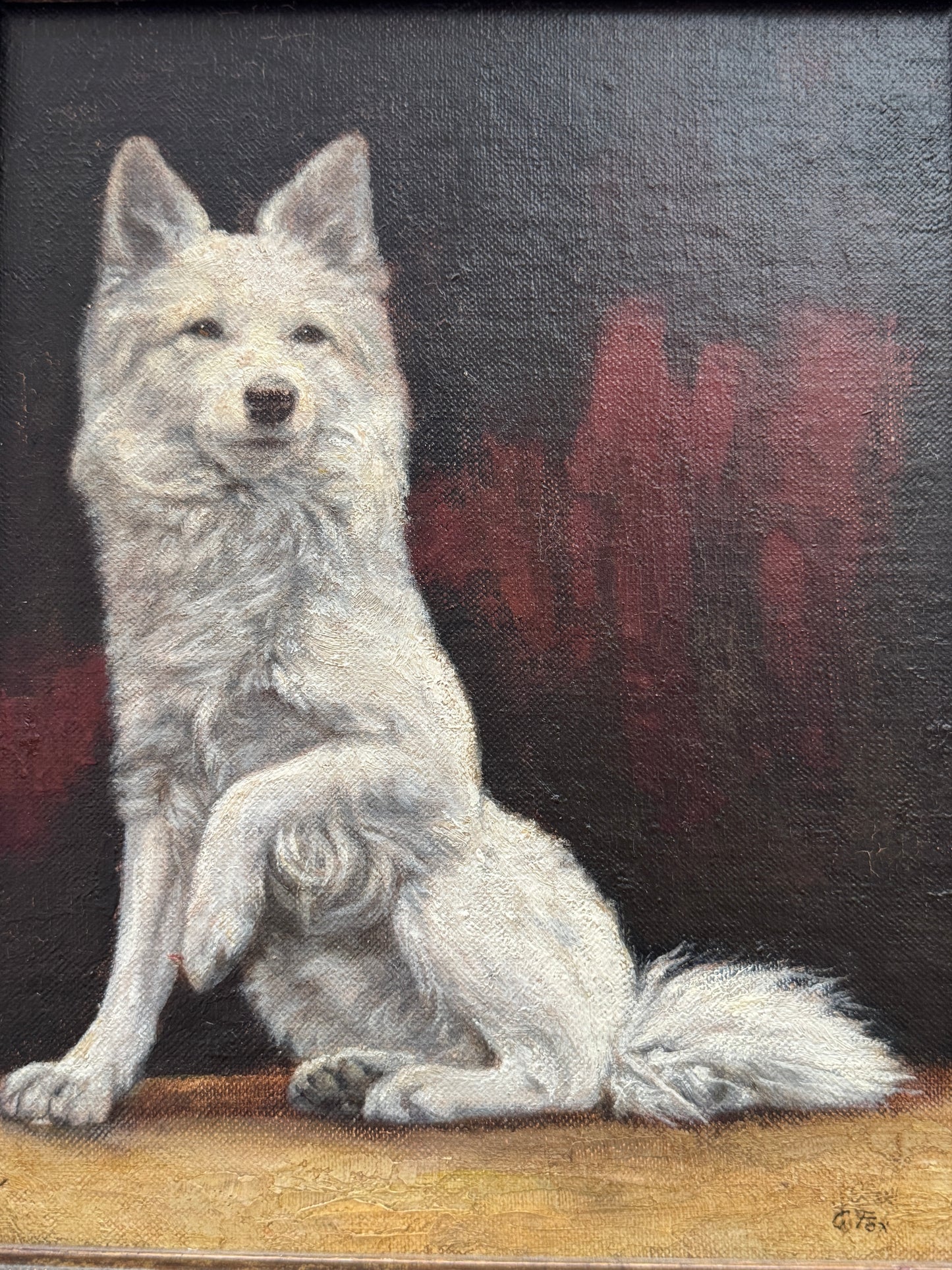 アンティーク油彩画 白い犬 | G.B. Fox サイン | 華やかな装飾額装