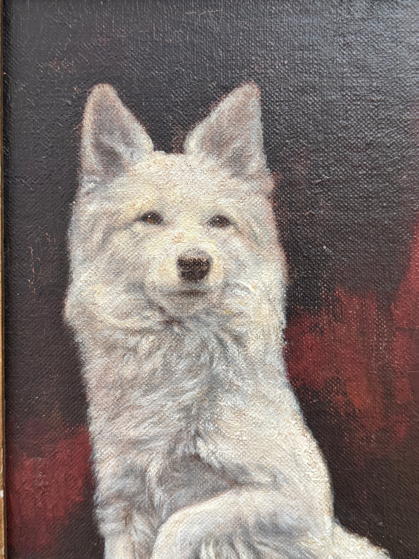 アンティーク油彩画 白い犬 | G.B. Fox サイン | 華やかな装飾額装