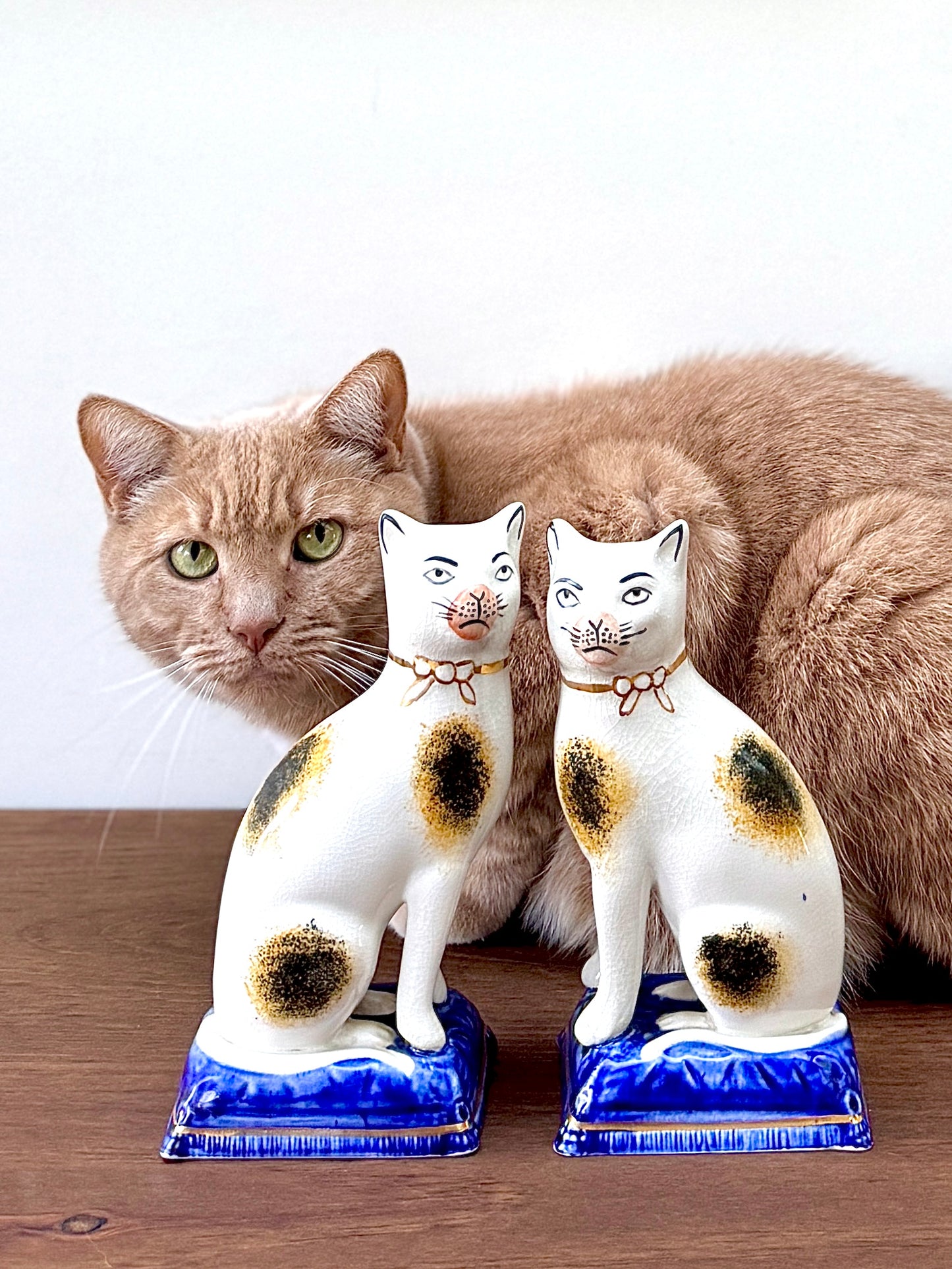 ヴィンテージ スタッフォードシャーキャット|まゆ毛 & ピンクのマズル(大きめ、18.5cm)