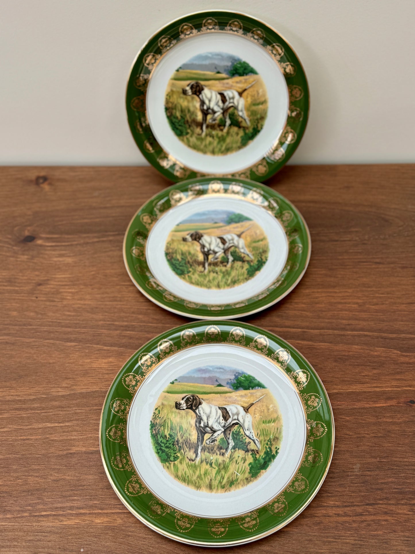 Vintage English Pointer Decorative Plates by Lightwood & Son Limited