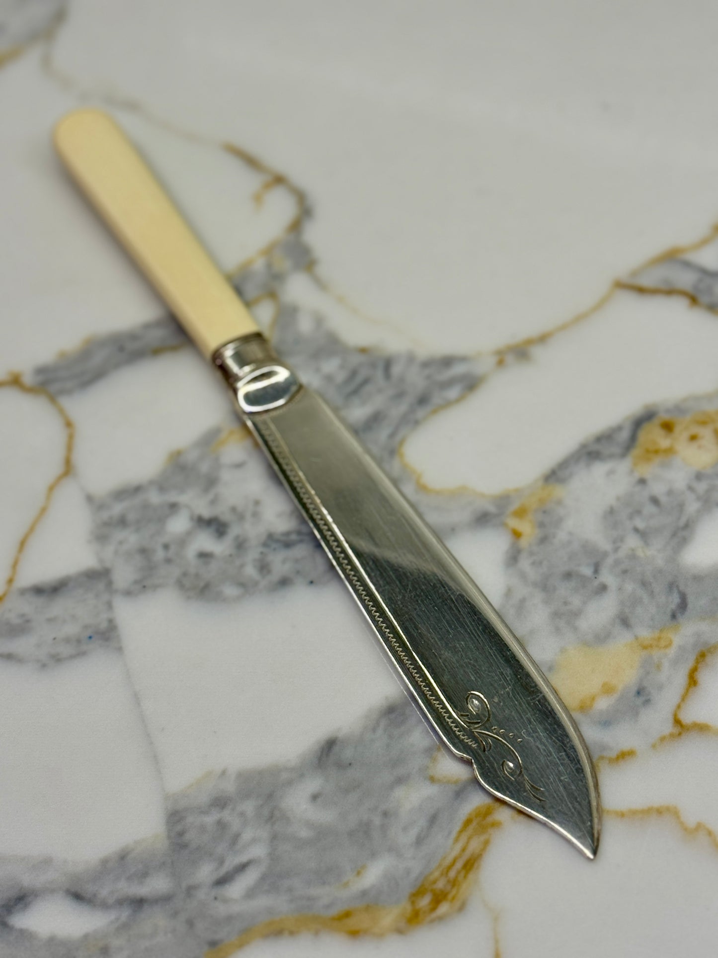 Vintage Silver Plated Fish Knife & Fork Set for Six | Faux Bone Handles & Original Box, c.1910-1930s