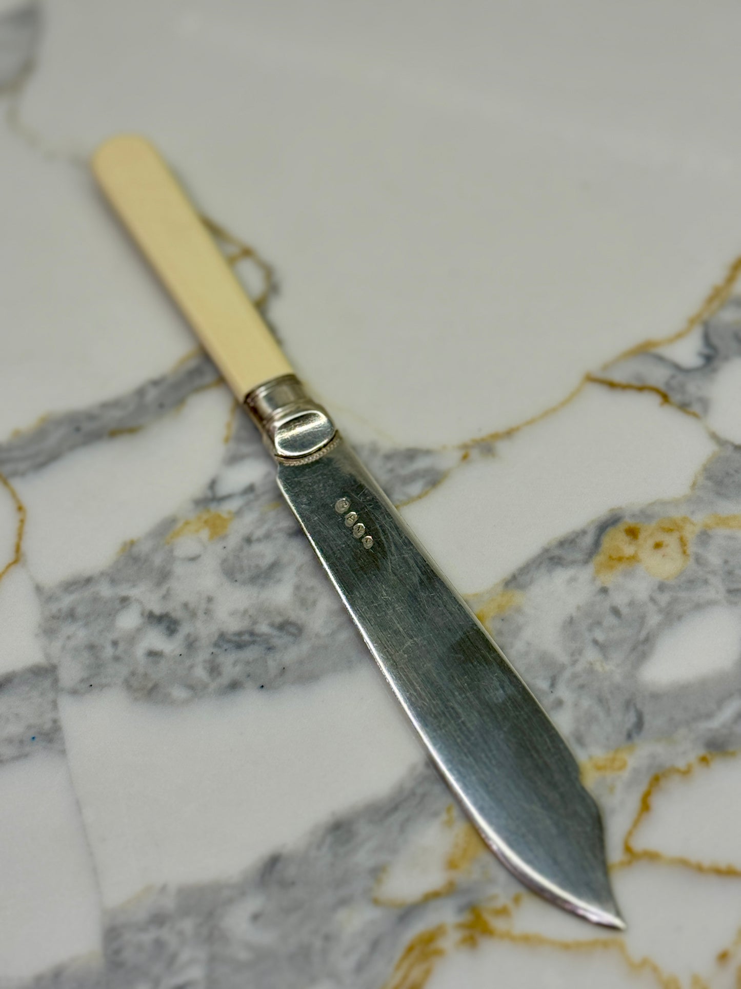 Vintage Silver Plated Fish Knife & Fork Set for Six | Faux Bone Handles & Original Box, c.1910-1930s