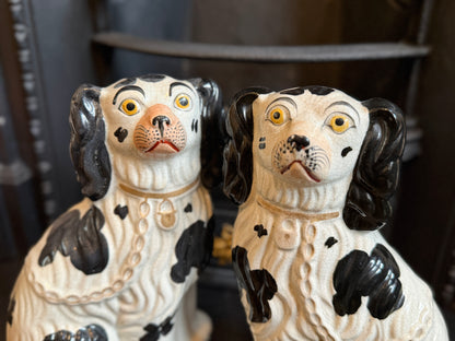 アンティーク、スタッフォードシャードッグ（スパニエル）ペア｜1850年頃