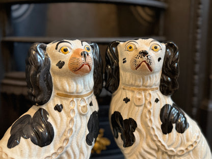 アンティーク、スタッフォードシャードッグ（スパニエル）ペア｜1850年頃