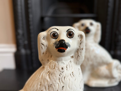 アンティーク、スタッフォードシャードッグ ガラスアイ・スパニエル（ペア）｜1890年頃