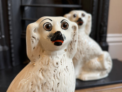 アンティーク、スタッフォードシャードッグ ガラスアイ・スパニエル（ペア）｜1890年頃