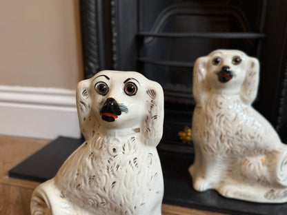 アンティーク、スタッフォードシャードッグ ガラスアイ・スパニエル（ペア）｜1890年頃