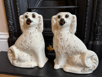 アンティーク、スタッフォードシャードッグ ガラスアイ・スパニエル（ペア）｜1890年頃