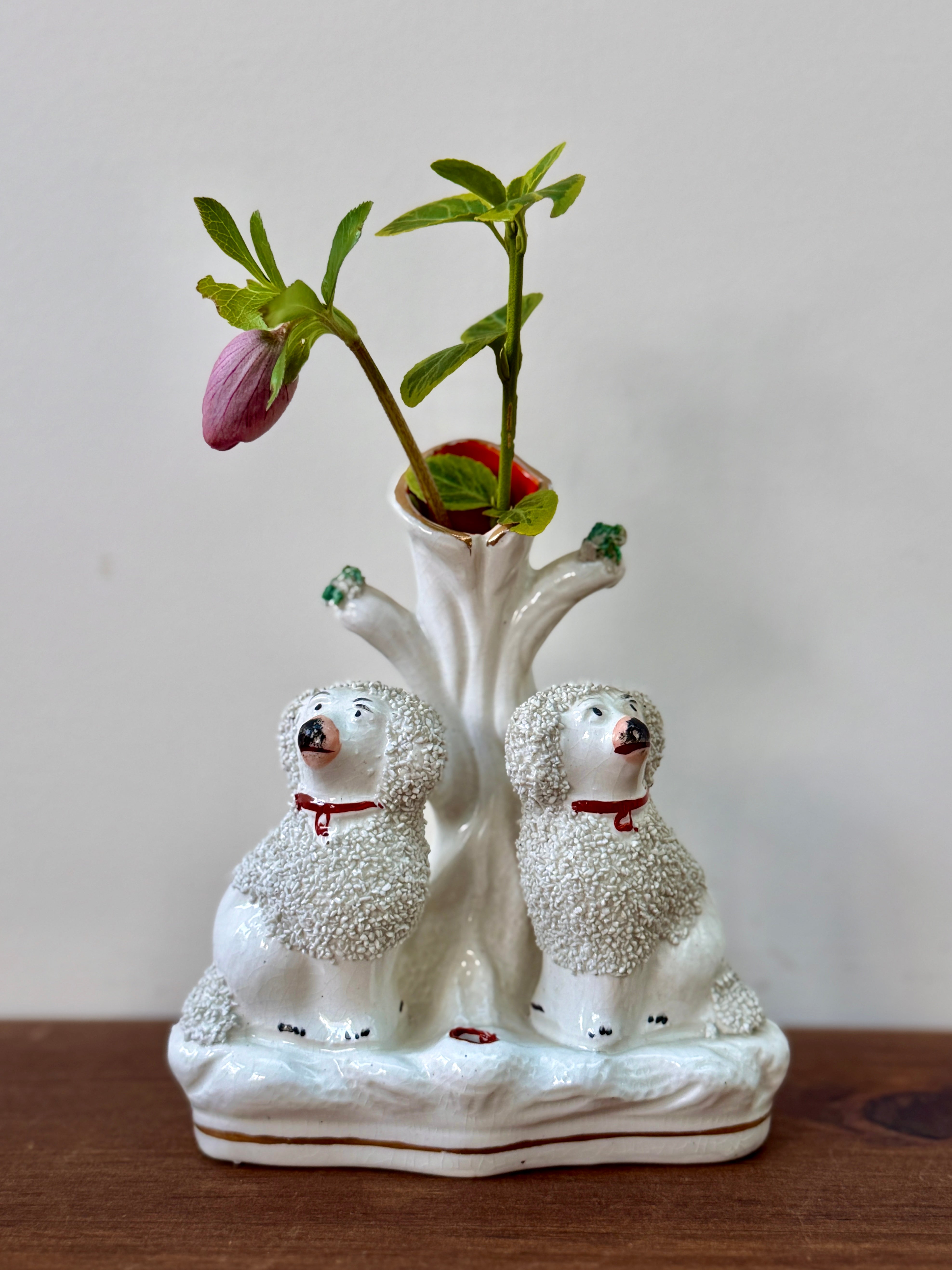 アンティーク、スタッフォードシャー プードルのスピルベース – My