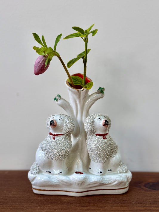 アンティーク、スタッフォードシャー プードルのスピルベース