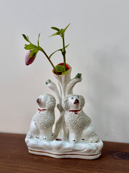 アンティーク、スタッフォードシャー プードルのスピルベース