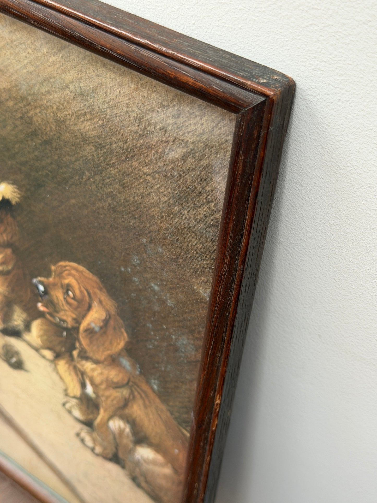 Cecil Aldin Framed Dog Print "What Became of the Plum Pudding?" | Vintage Dog Wall Art