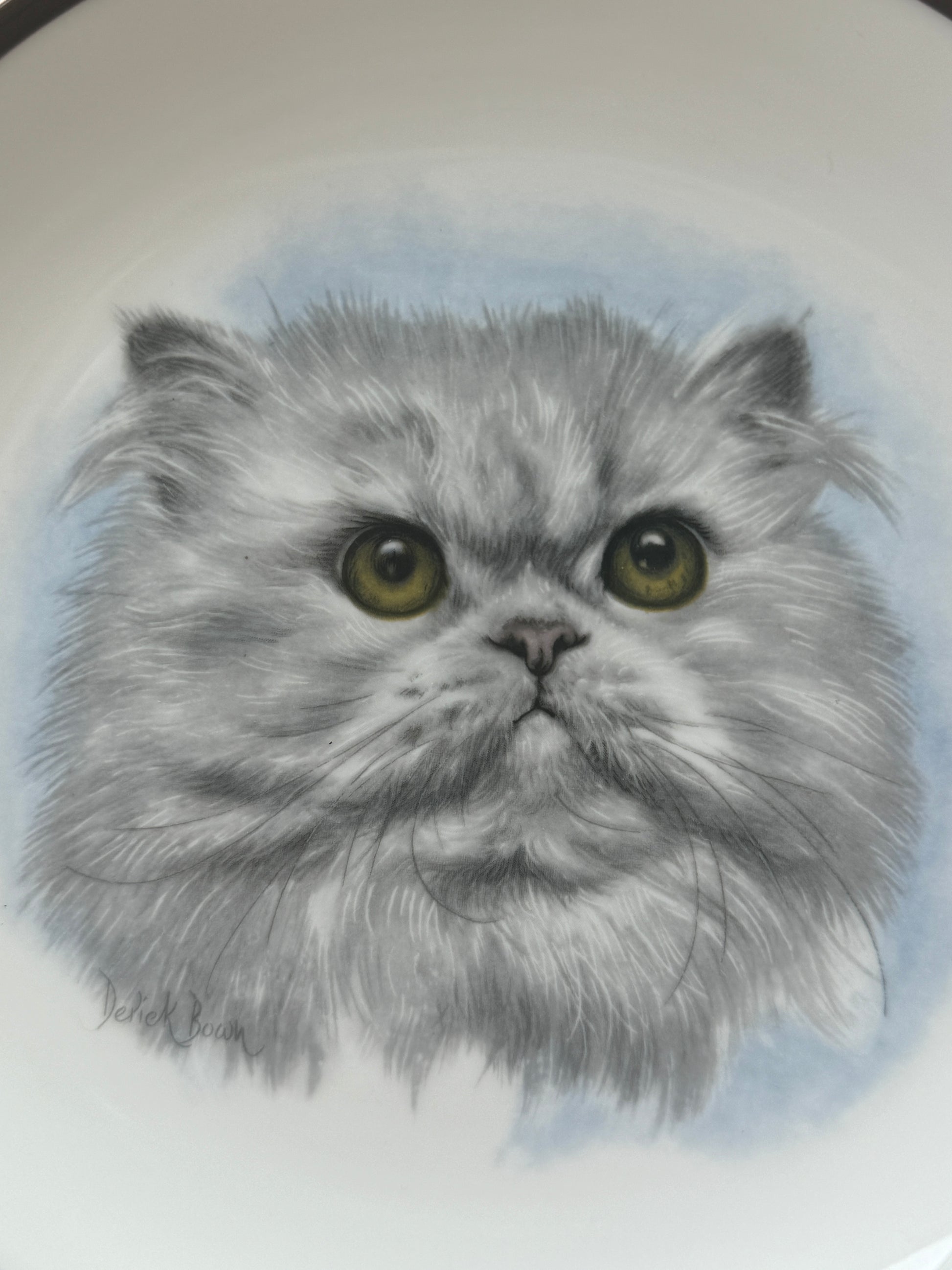 White Persian Cat plate