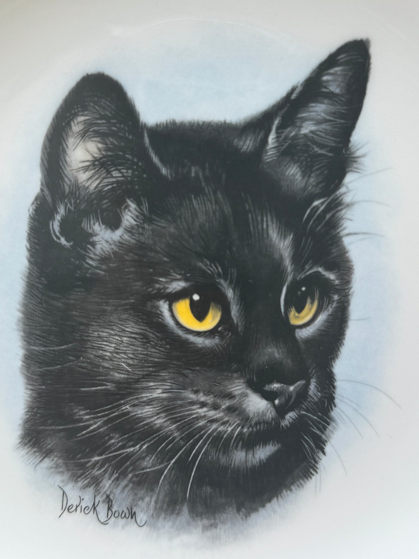 Black cat plate