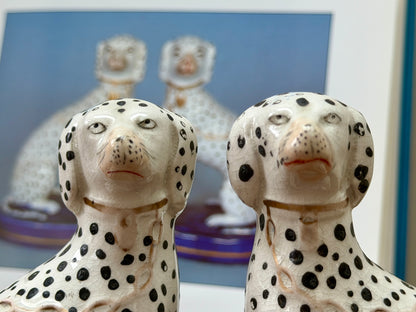 アンティーク、スタッフォードシャーのダルメシアン犬のペア｜1850年代頃