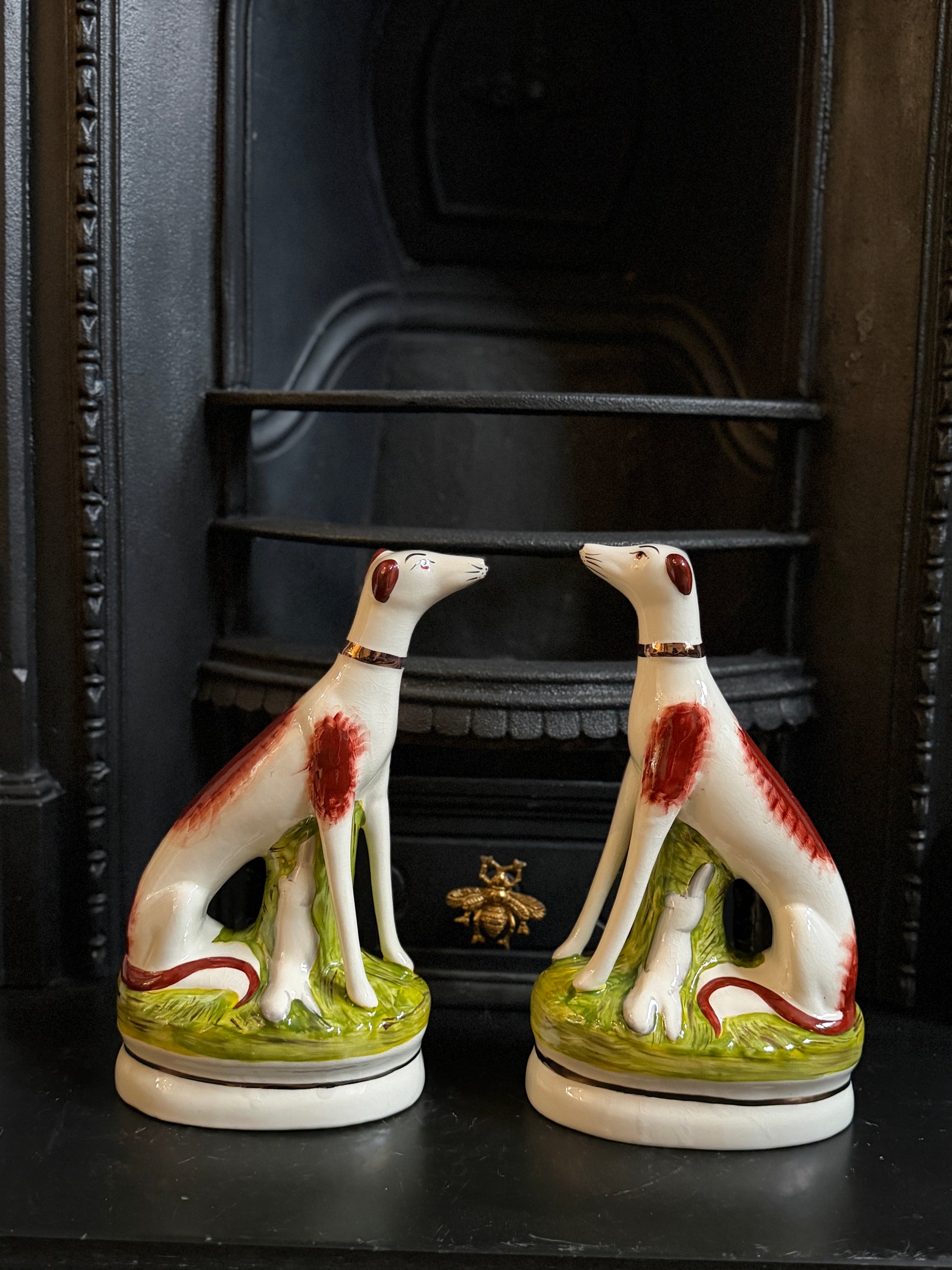 スタッフォードシャードッグ、グレイハウンド