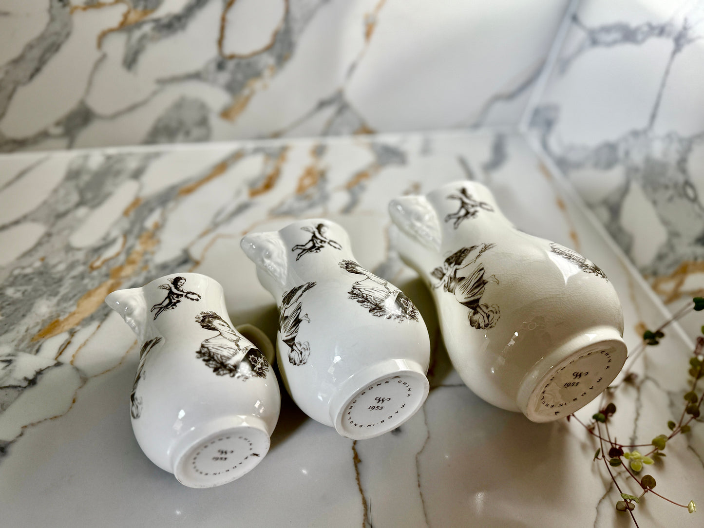 ロイヤルウースター、エリザベス女王戴冠記念ジャグ（３個セット）｜1953年