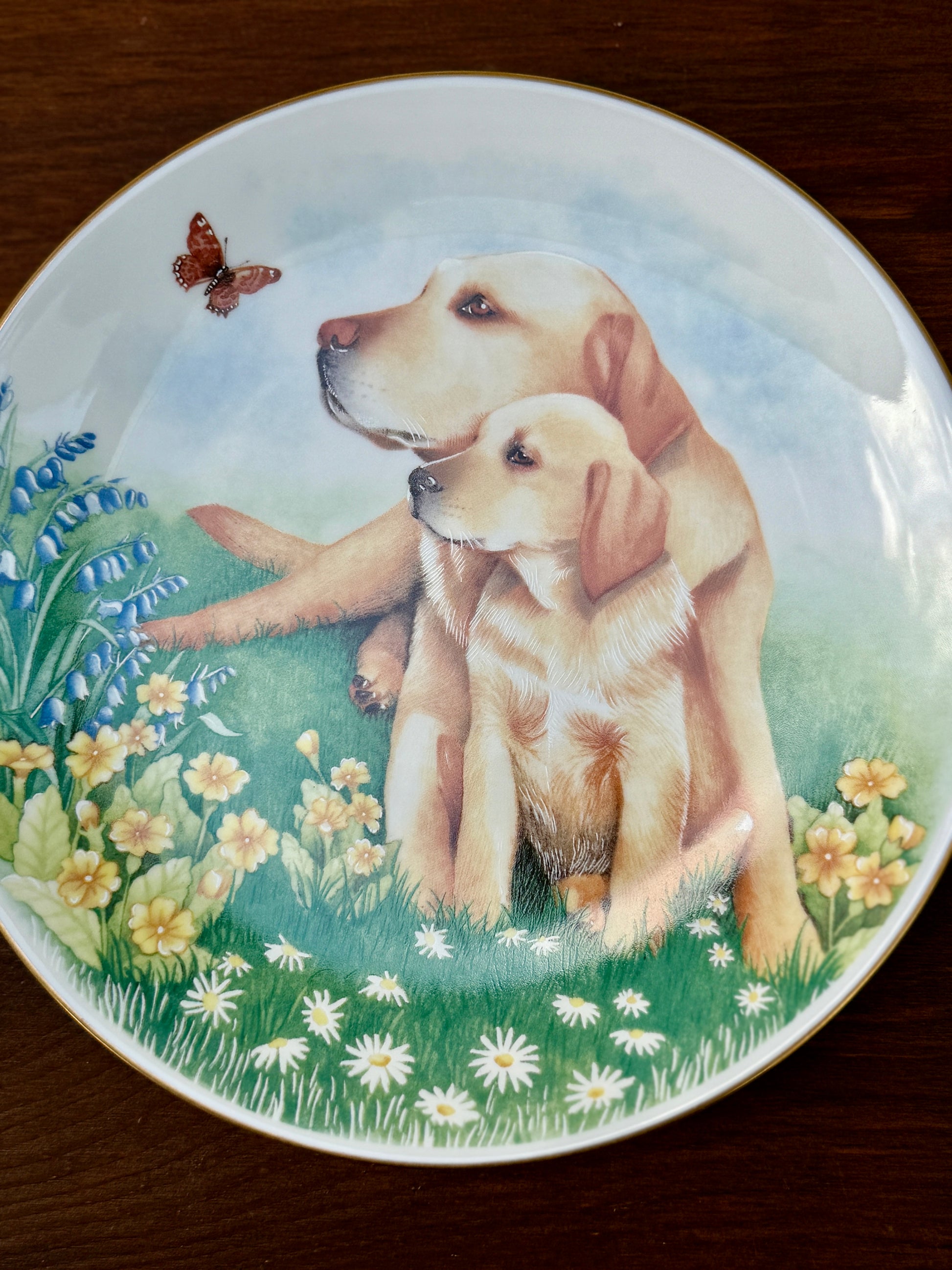 ロイヤルウースター「犬と子犬」ラブラドールの絵皿｜ルース・ボーデンによるデザイン、1990年