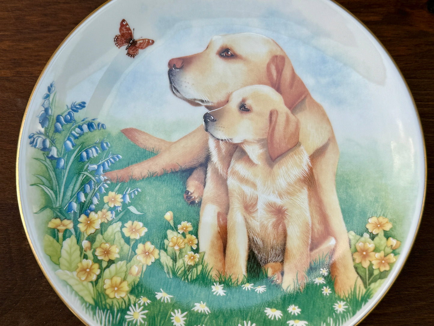 ロイヤルウースター「犬と子犬」ラブラドールの絵皿｜ルース・ボーデンによるデザイン、1990年