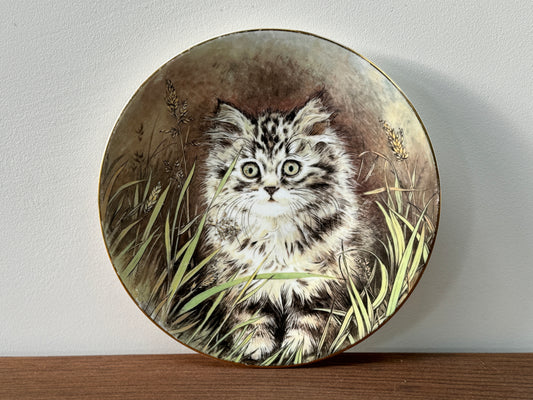 Royal_Worcester_Wild_Flower_Kitten_Classics_Plate_1985_vintage_cat_wallplate