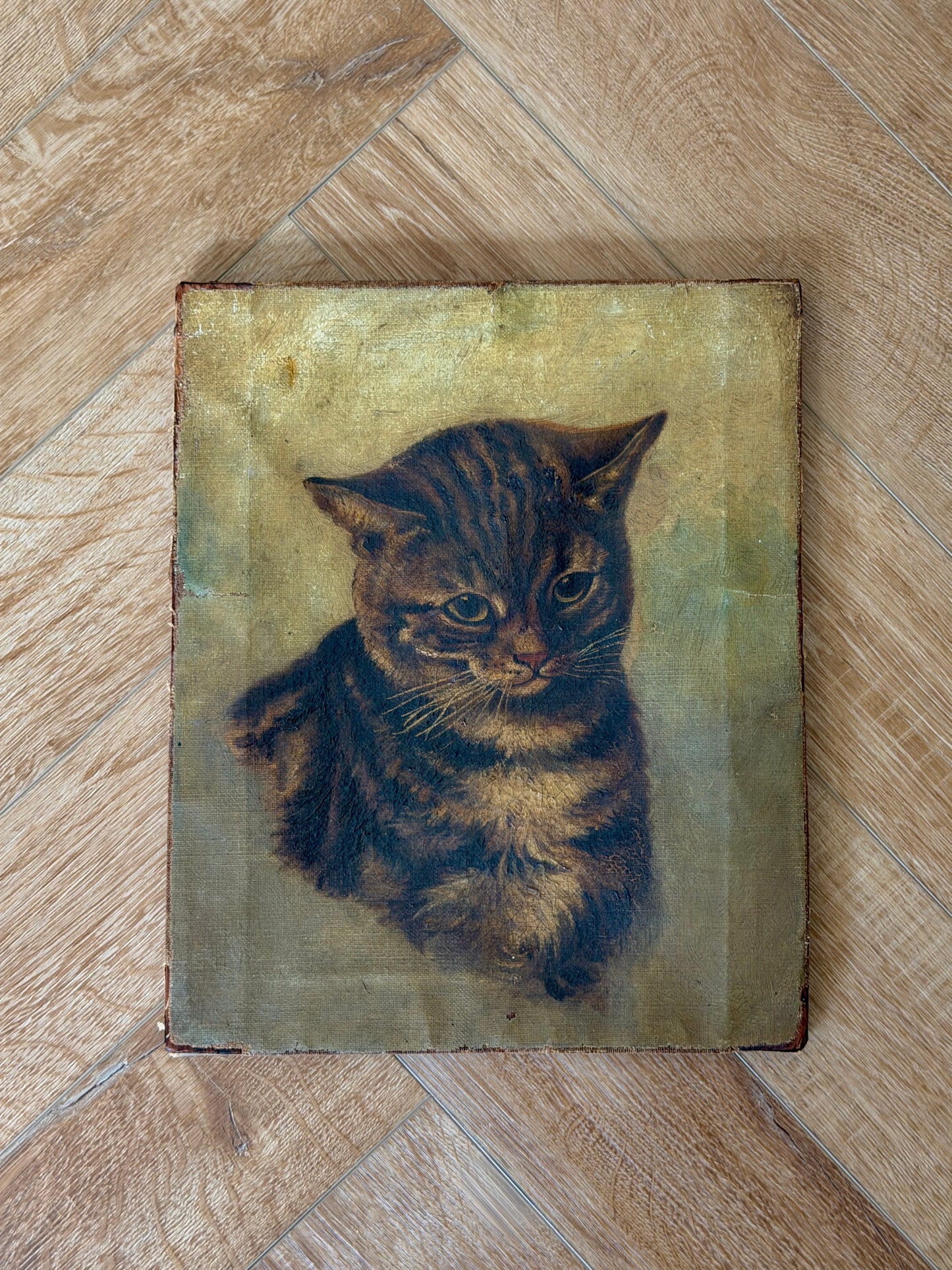 ヴィクトリア時代 キジトラ猫の油彩画｜19世紀後期頃