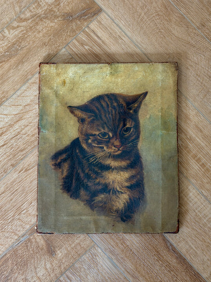 ヴィクトリア時代 キジトラ猫の油彩画｜19世紀後期頃