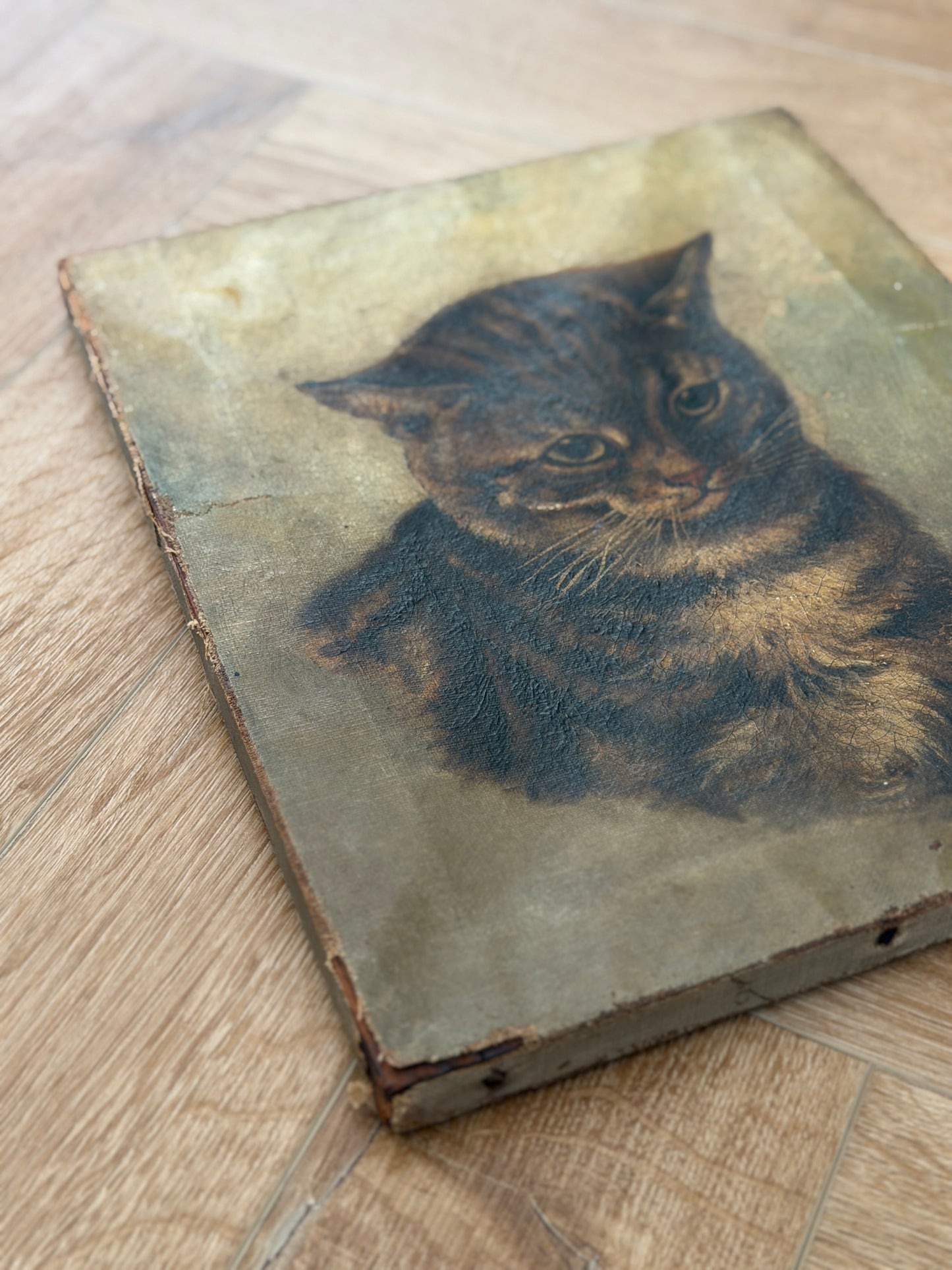 ヴィクトリア時代 キジトラ猫の油彩画｜19世紀後期頃