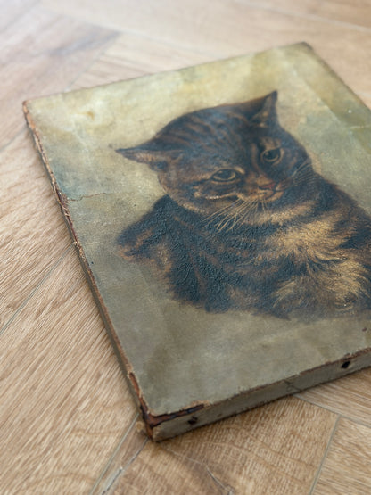ヴィクトリア時代 キジトラ猫の油彩画｜19世紀後期頃