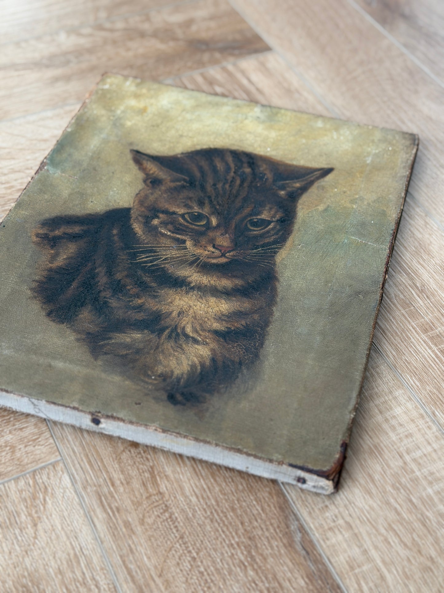 ヴィクトリア時代 キジトラ猫の油彩画｜19世紀後期頃