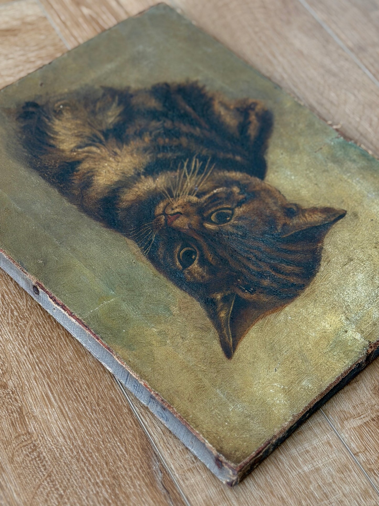 ヴィクトリア時代 キジトラ猫の油彩画｜19世紀後期頃