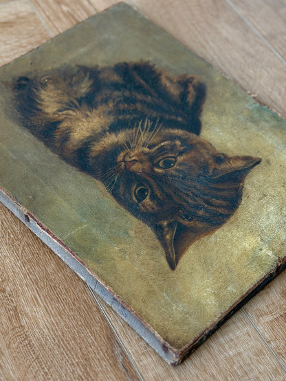 ヴィクトリア時代 キジトラ猫の油彩画｜19世紀後期頃