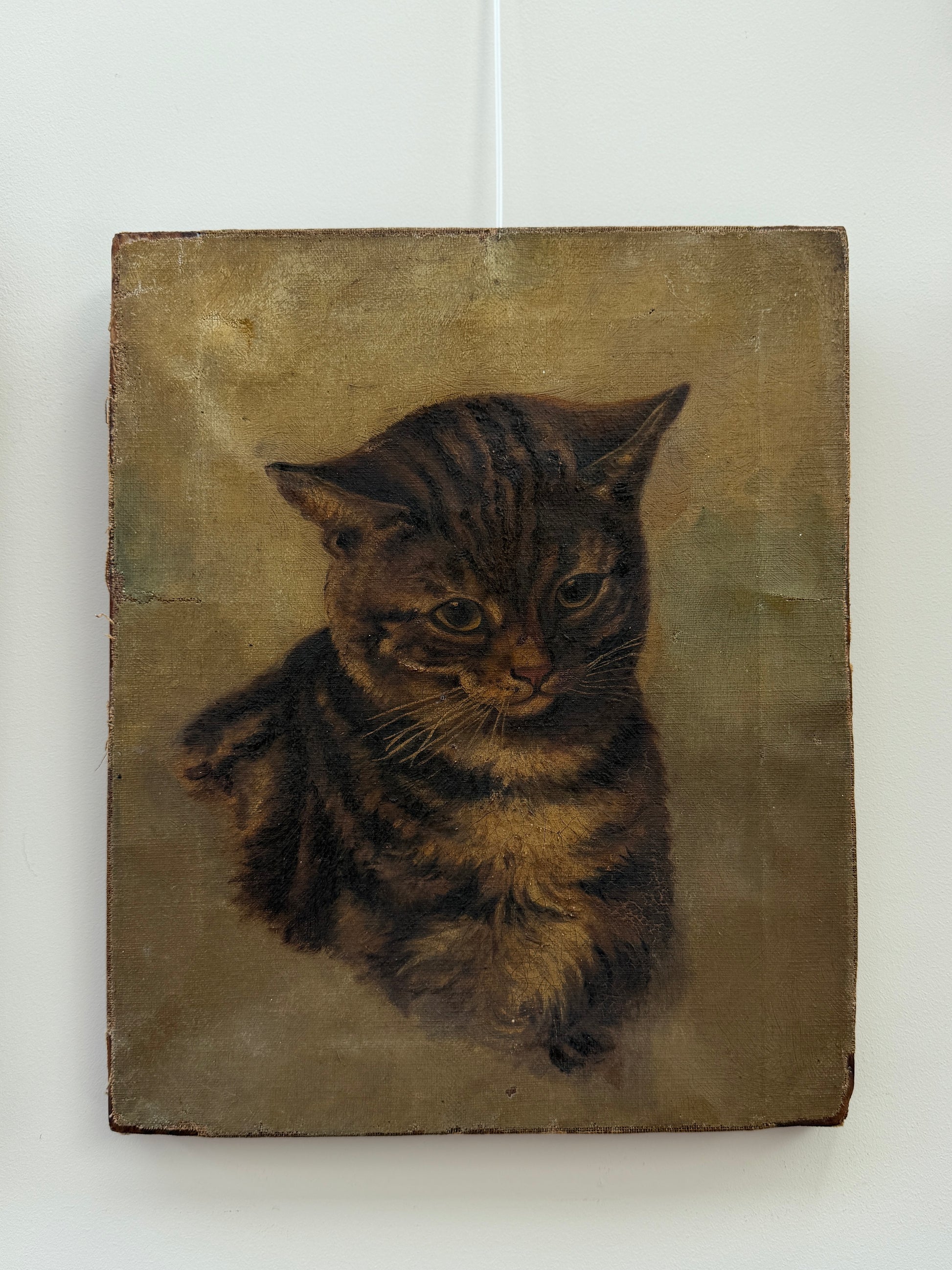 Victorian Oil Portrait of a Tabby Cat on Canvas – Beautifully Timeworn, c. Late 19th Century　Oil on canvas