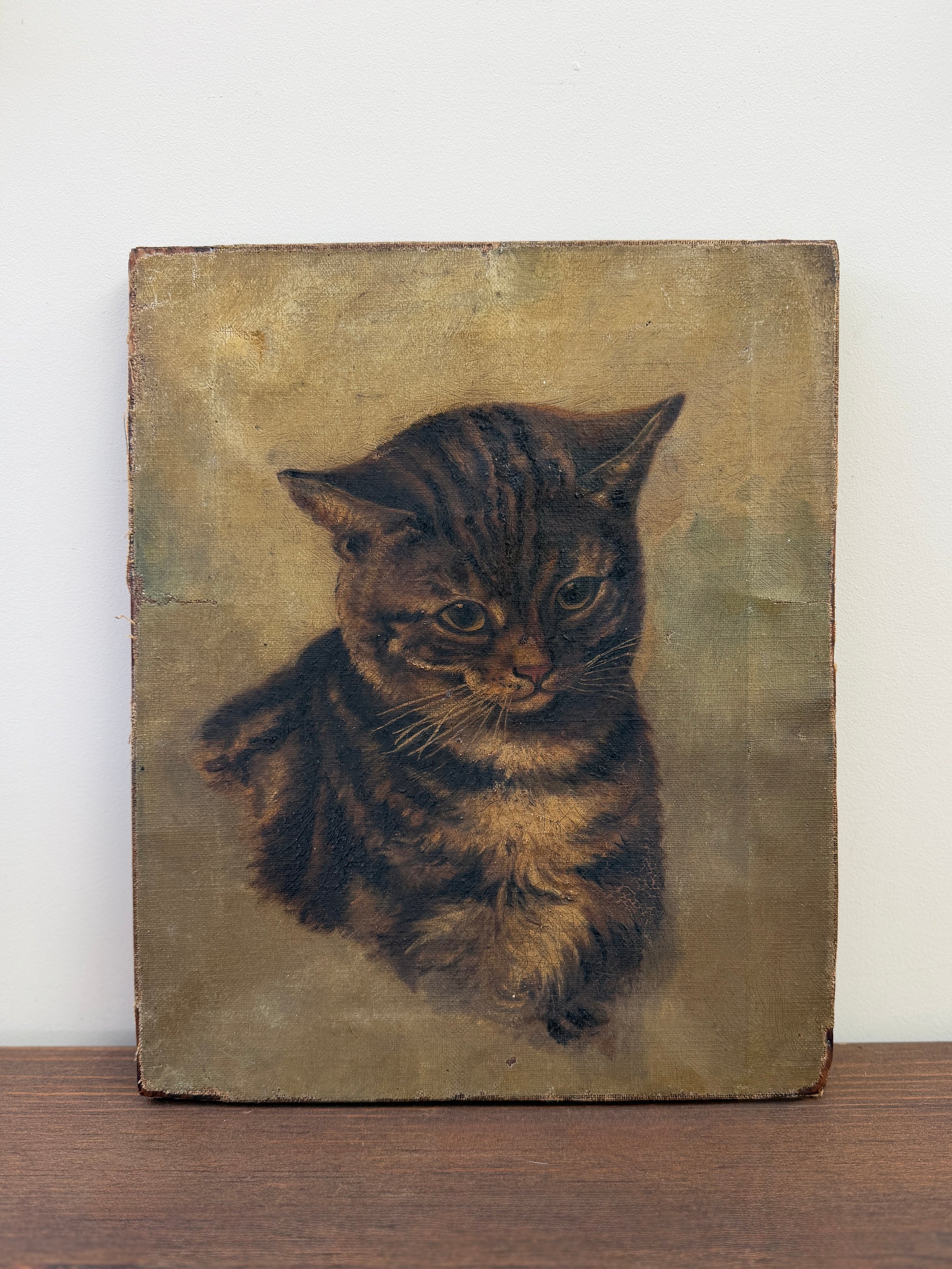 ヴィクトリア時代 キジトラ猫の油彩画｜19世紀後期頃　猫の油絵　