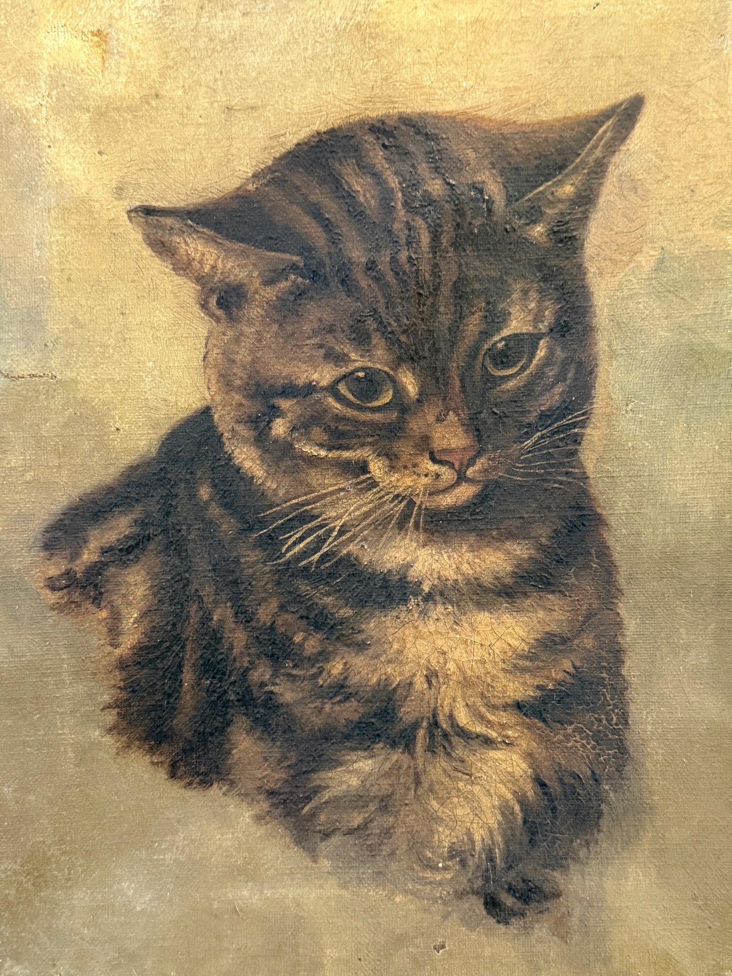 ヴィクトリア時代 キジトラ猫の油彩画｜19世紀後期頃