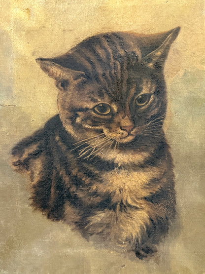 ヴィクトリア時代 キジトラ猫の油彩画｜19世紀後期頃