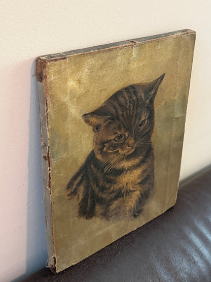 ヴィクトリア時代 キジトラ猫の油彩画｜19世紀後期頃