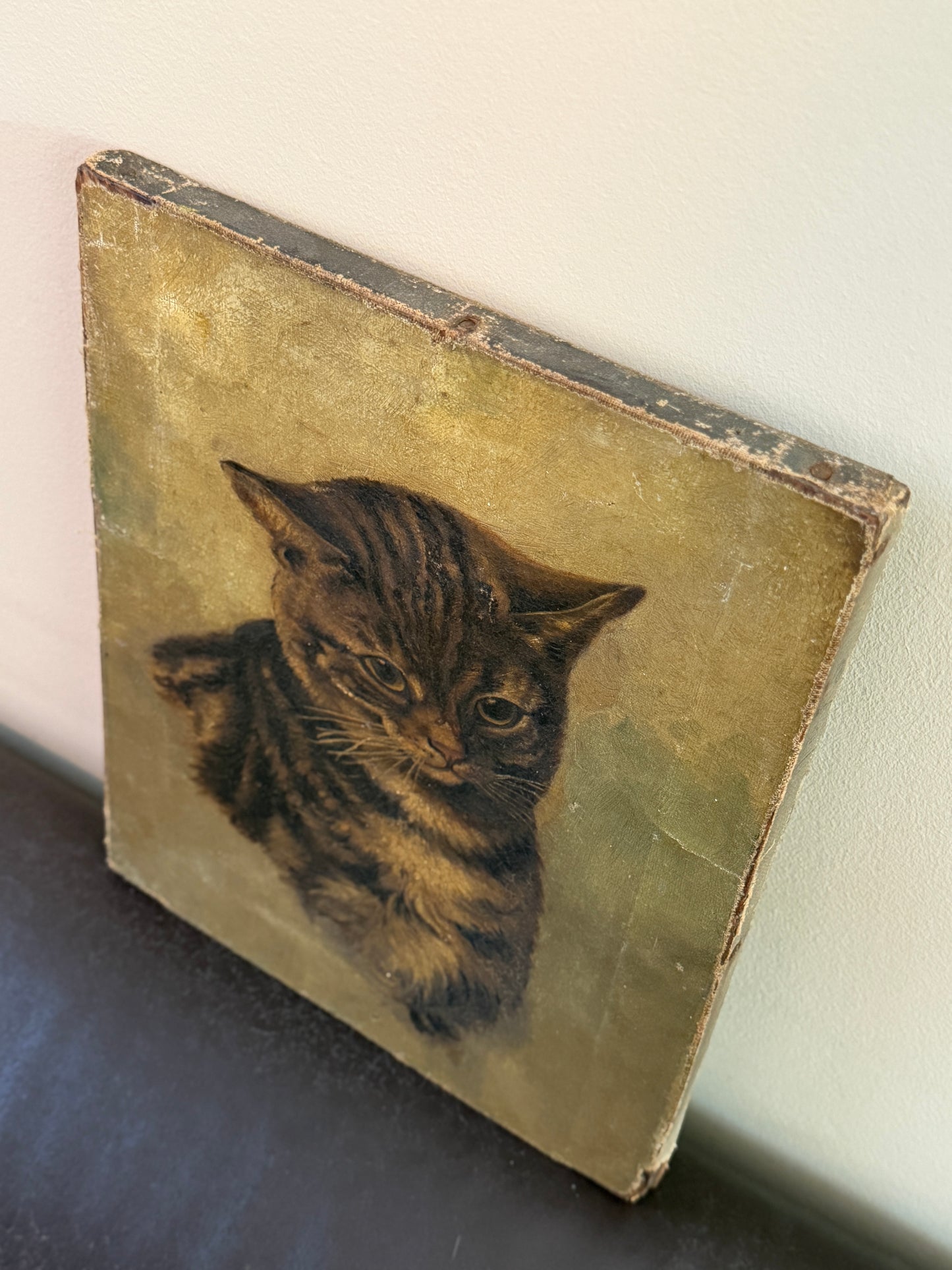 ヴィクトリア時代 キジトラ猫の油彩画｜19世紀後期頃