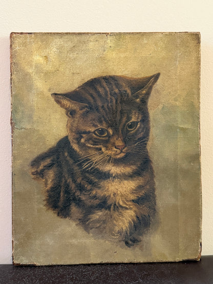ヴィクトリア時代 キジトラ猫の油彩画｜19世紀後期頃