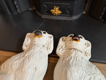 アンティーク、ガラスの目のスタッフォードシャードッグ（スパニエル）ペア｜1890年代頃