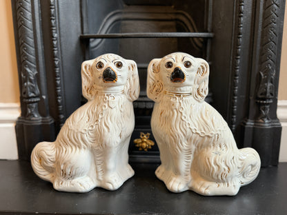 アンティーク、ガラスの目のスタッフォードシャードッグ（スパニエル）ペア｜1890年代頃
