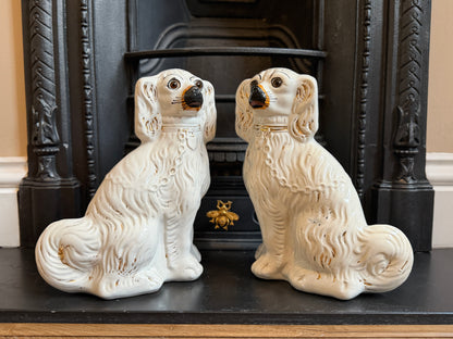 アンティーク、ガラスの目のスタッフォードシャードッグ（スパニエル）ペア｜1890年代頃