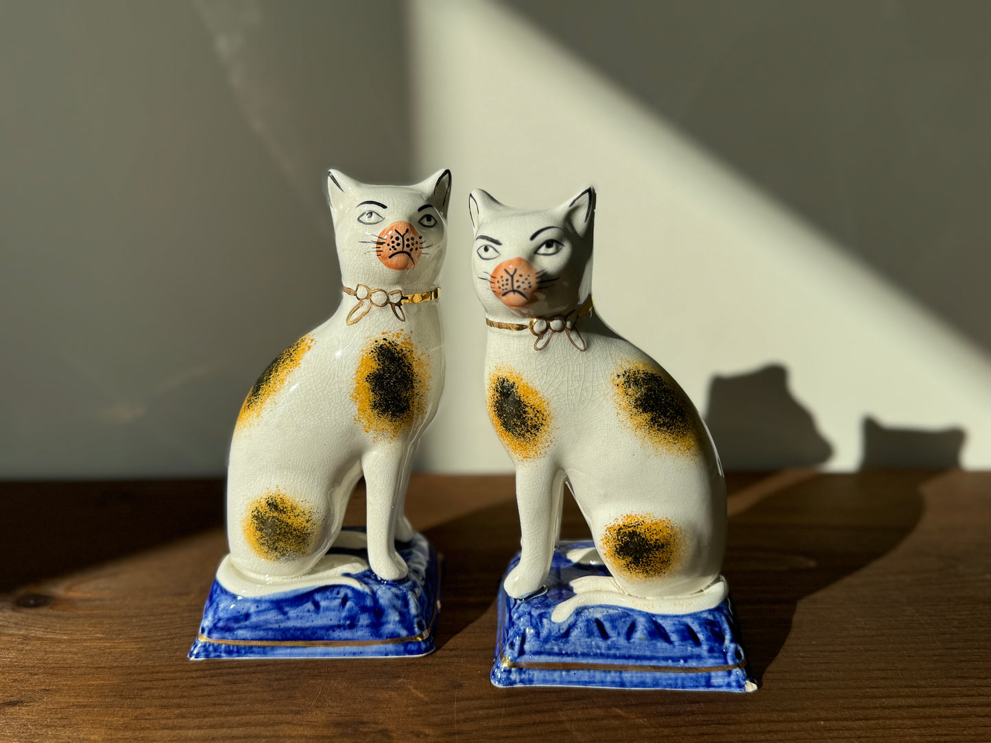 スタッフォードシャーキャット　眉毛