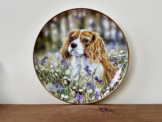 Vintage Decorative Plate 'Sitting Pretty' by Paul Doyle | Danbury Mint