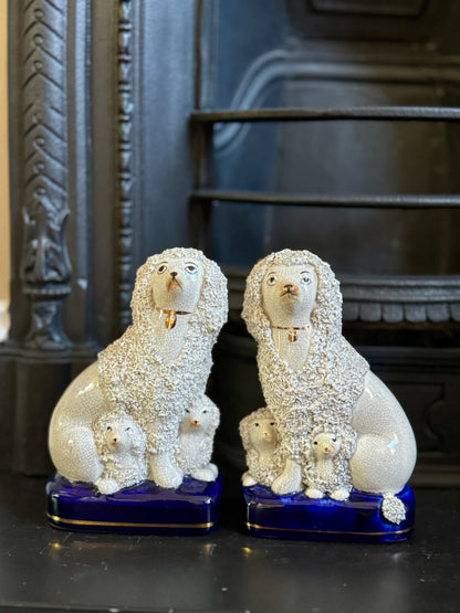 Vintage Pair of Staffordshire Poodles with Puppies